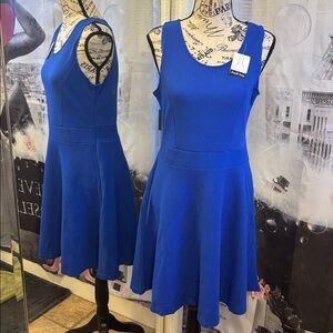 NWT Blue Sleeveless Fit and Flare Dress